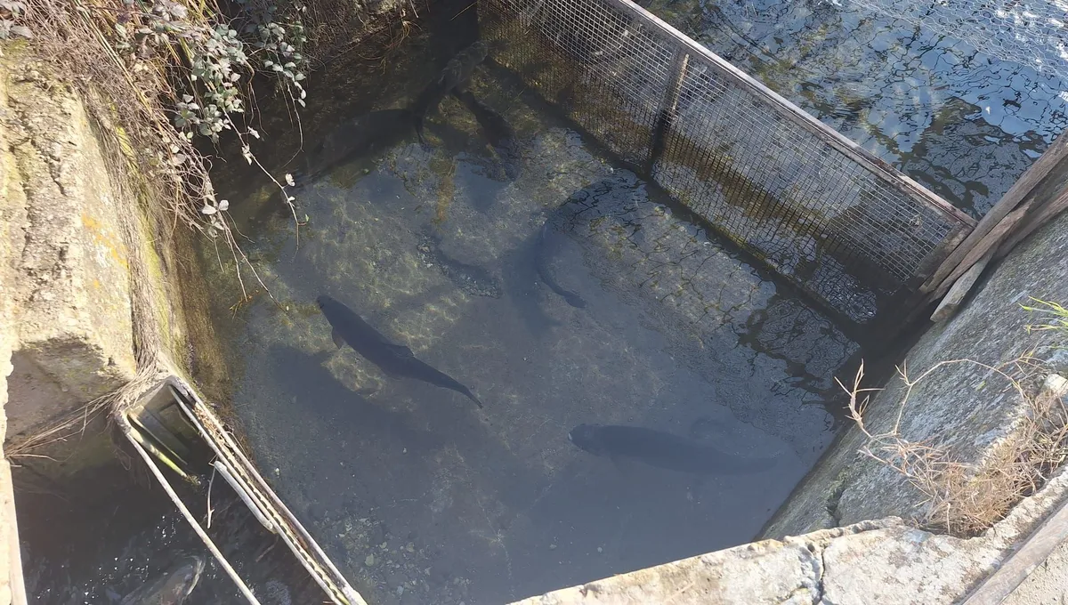 Prix Excellence - France Bleu