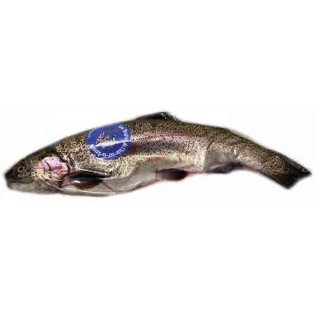 Truite royale éviscérée - entre 2kg et 3,5kg