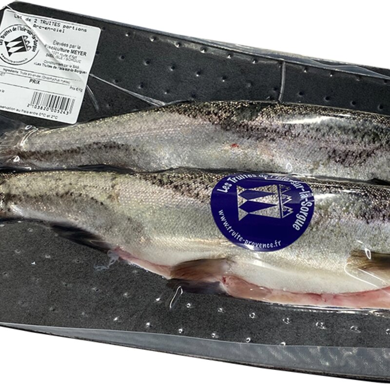 Lot de 2 truites Arc-en-ciel