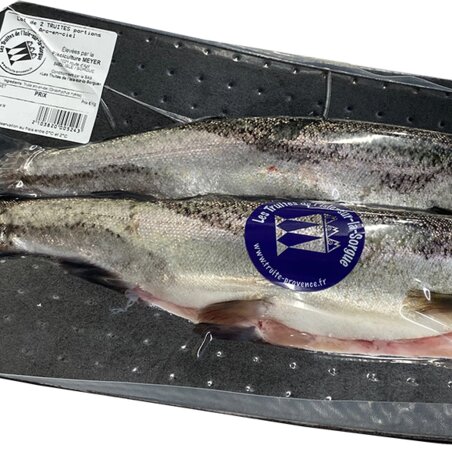 Lot de 2 truites Arc-en-ciel